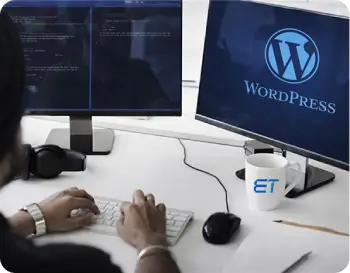 hire-wordpress-developers